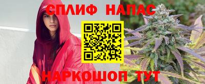 МДПВ Севастополь